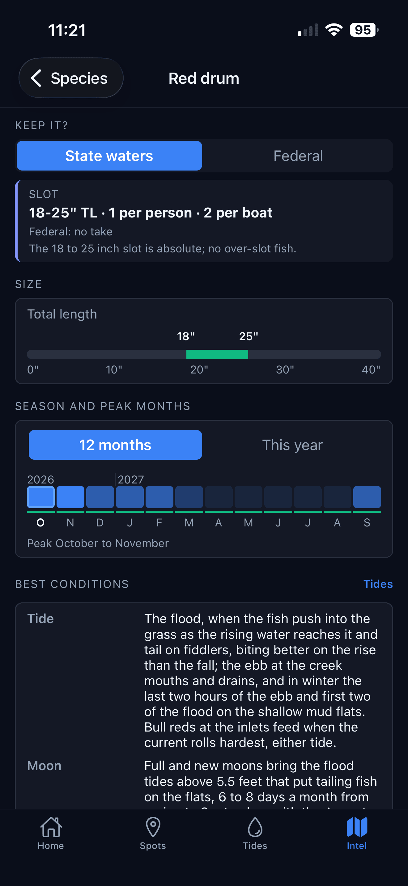 Inshore Intel species page for red drum: the state-waters slot, a size ruler, the season and peak months strip and the best conditions